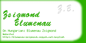 zsigmond blumenau business card